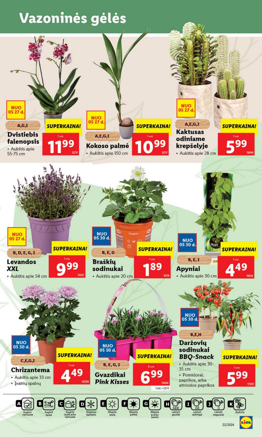 Lidl leidinys akcijos nuo 
  2024-05-27 iki 
  2024-06-02 | Leidinukas.lt puslapis 45
