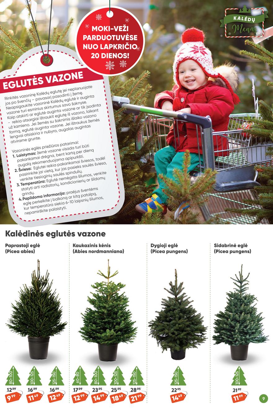 Moki veži leidinys akcijos nuo 
  2023-11-09 iki 
  2023-12-05 | Leidinukas.lt puslapis 9