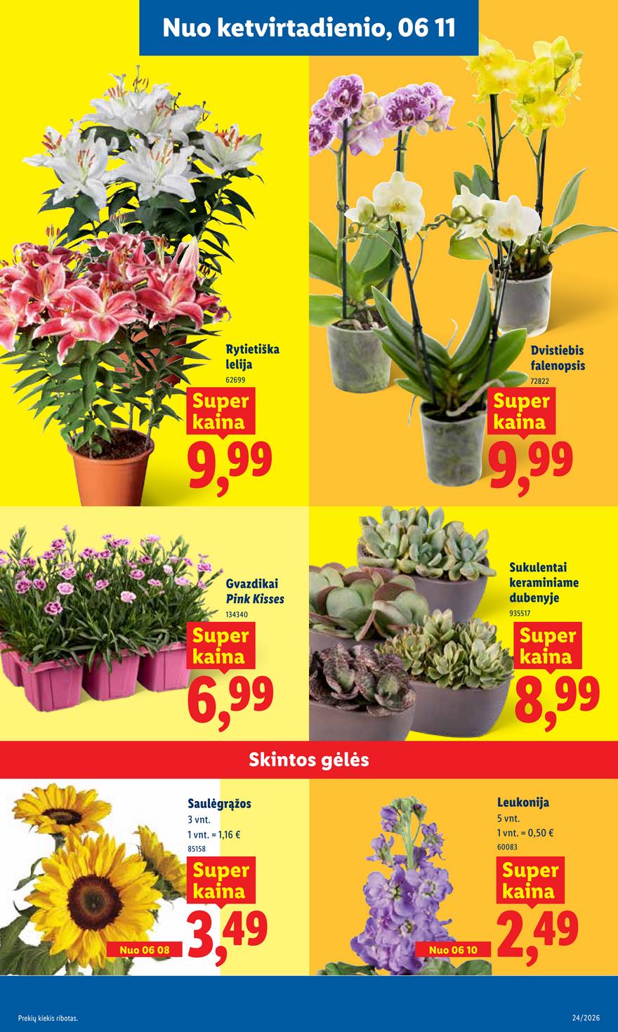 Lidl leidinys akcijos nuo 
  2026-06-08 iki 
  2026-06-14 | Leidinukas.lt puslapis 9