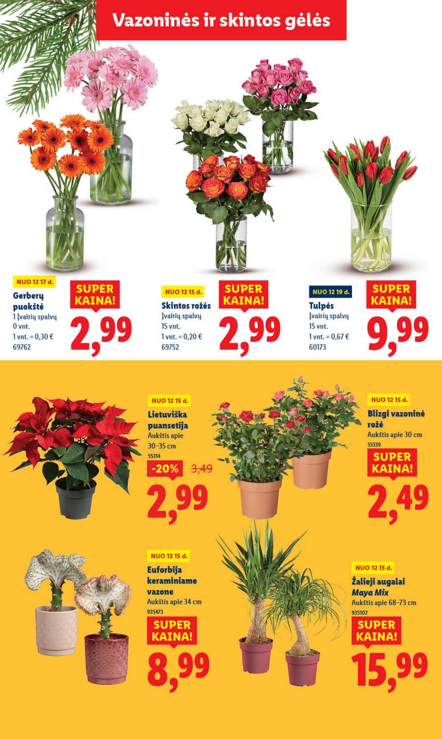 Lidl leidinys akcijos nuo 
  2025-12-15 iki 
  2025-12-21 | Leidinukas.lt puslapis 9