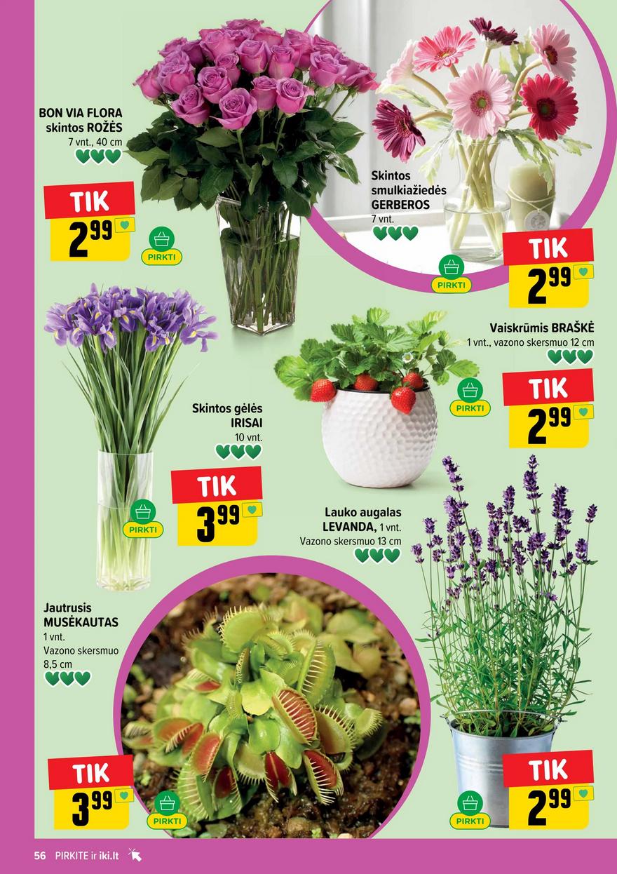 Iki leidinys akcijos nuo 
  2026-05-25 iki 
  2026-05-31 | Leidinukas.lt puslapis 56