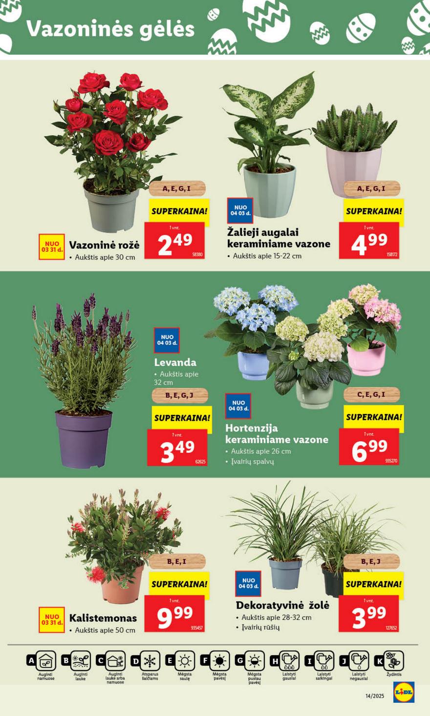 Lidl leidinys akcijos nuo 
  2025-03-31 iki 
  2025-04-06 | Leidinukas.lt puslapis 41