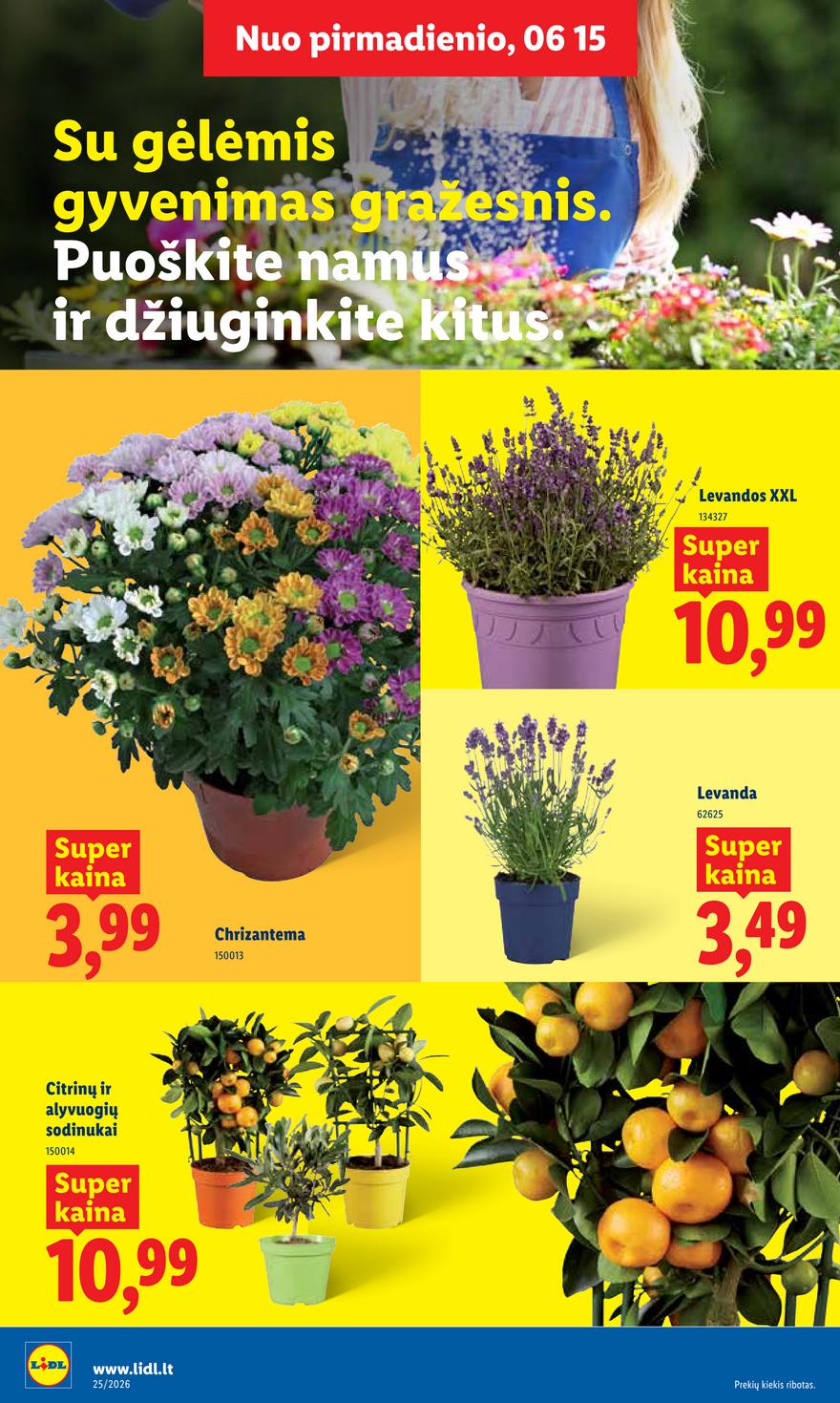Lidl leidinys akcijos nuo 
  2026-06-15 iki 
  2026-06-21 | Leidinukas.lt puslapis 8