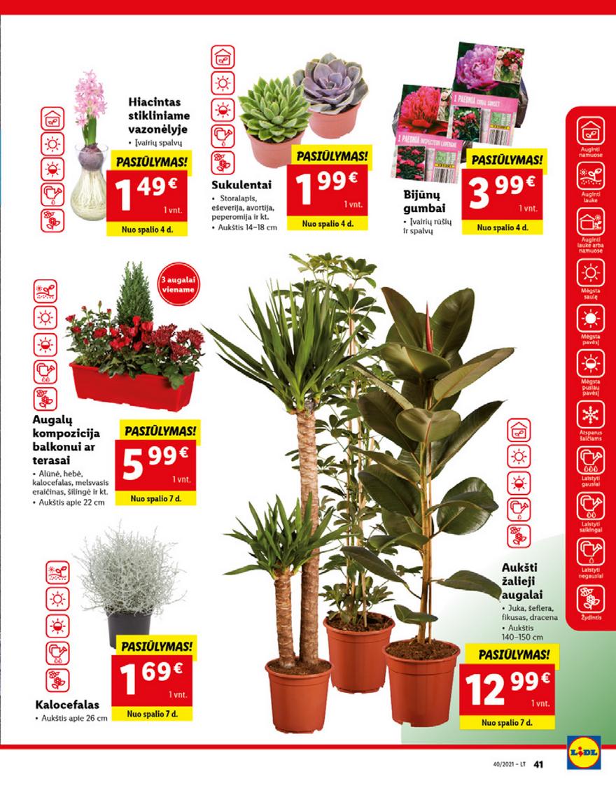 Lidl maisto prekių pasiūlymai akcijos nuo 
  2021-10-04 iki 
  2021-10-10 | Leidinukas.lt puslapis 41