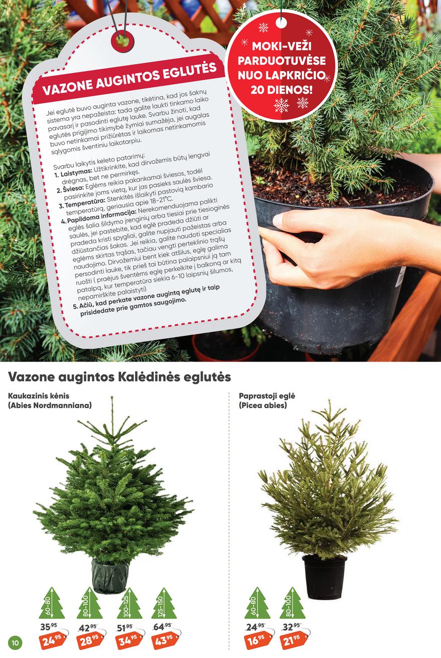 Moki veži leidinys akcijos nuo 
  2023-11-09 iki 
  2023-12-05 | Leidinukas.lt puslapis 10