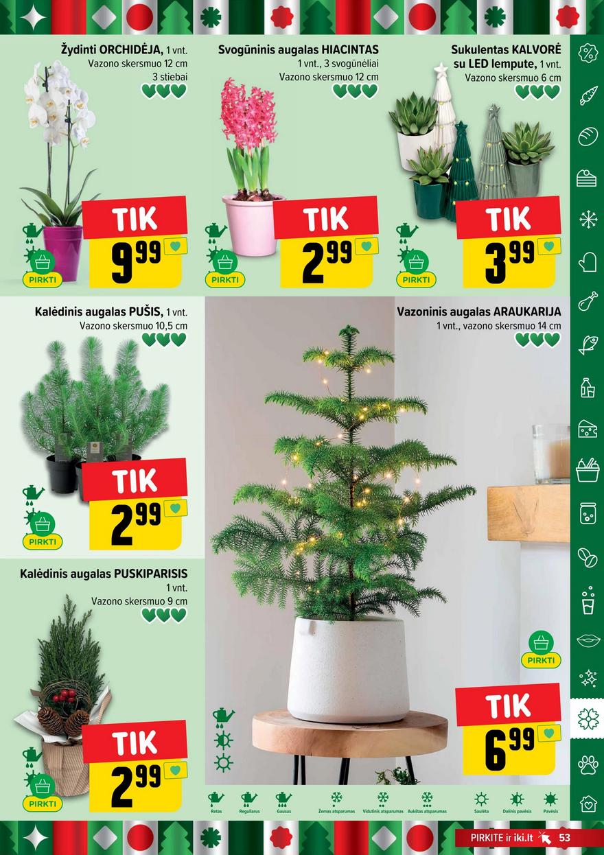 Iki leidinys akcijos nuo 
  2025-11-17 iki 
  2025-11-23 | Leidinukas.lt puslapis 53