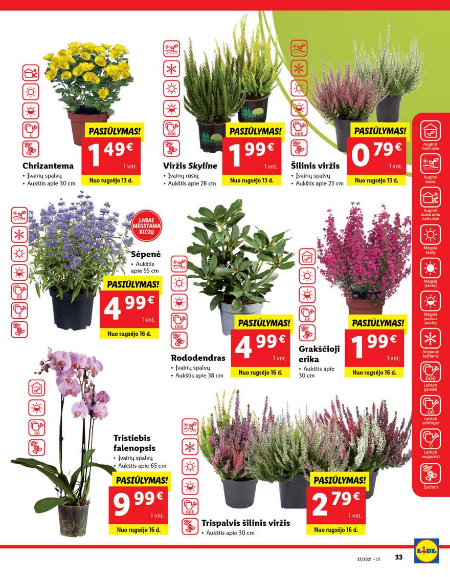 Lidl maisto prekių pasiūlymai akcijos nuo 
  2021-09-13 iki 
  2021-09-19 | Leidinukas.lt puslapis 33