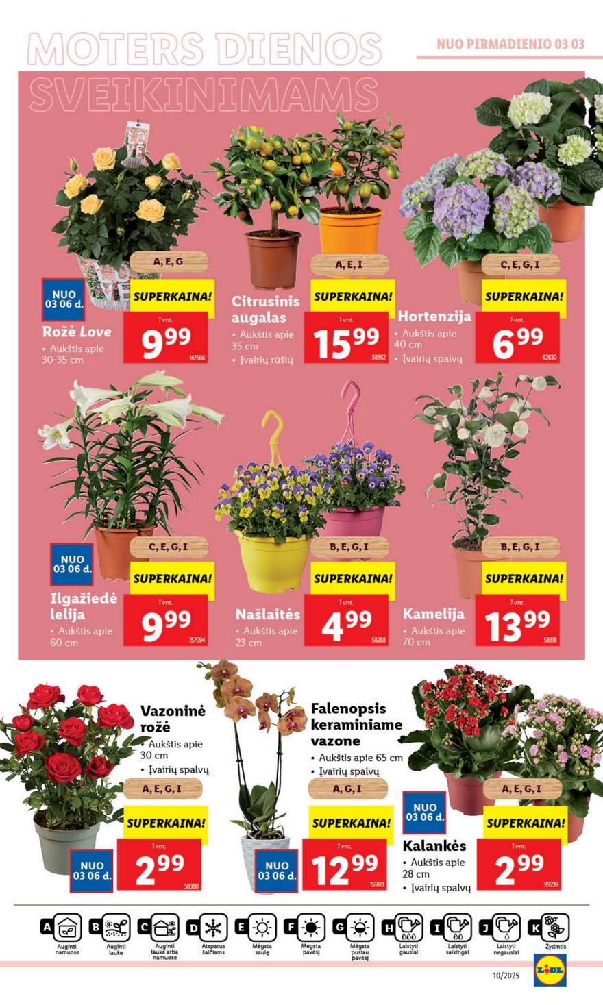 Lidl leidinys naujas akcijos nuo 
  2025-03-03 iki 
  2025-03-09 | Leidinukas.lt puslapis 27