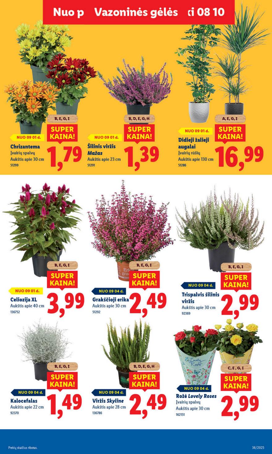 Lidl leidinys akcijos nuo 
  2025-09-01 iki 
  2025-09-07 | Leidinukas.lt puslapis 47