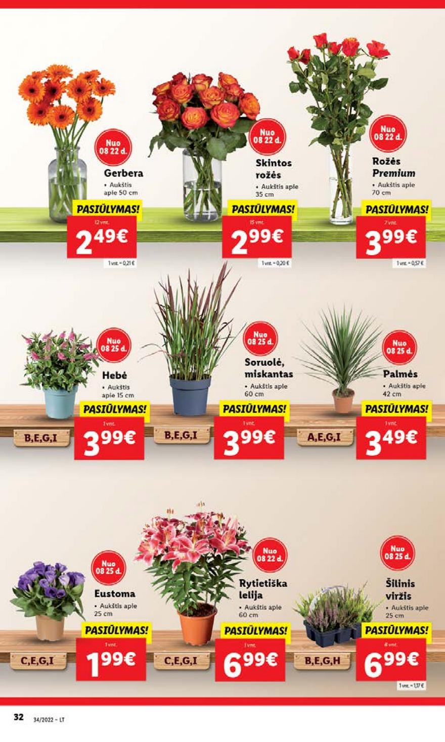 Lidl pasiūlymai akcijos nuo 
  2022-08-22 iki 
  2022-08-28 | Leidinukas.lt puslapis 32