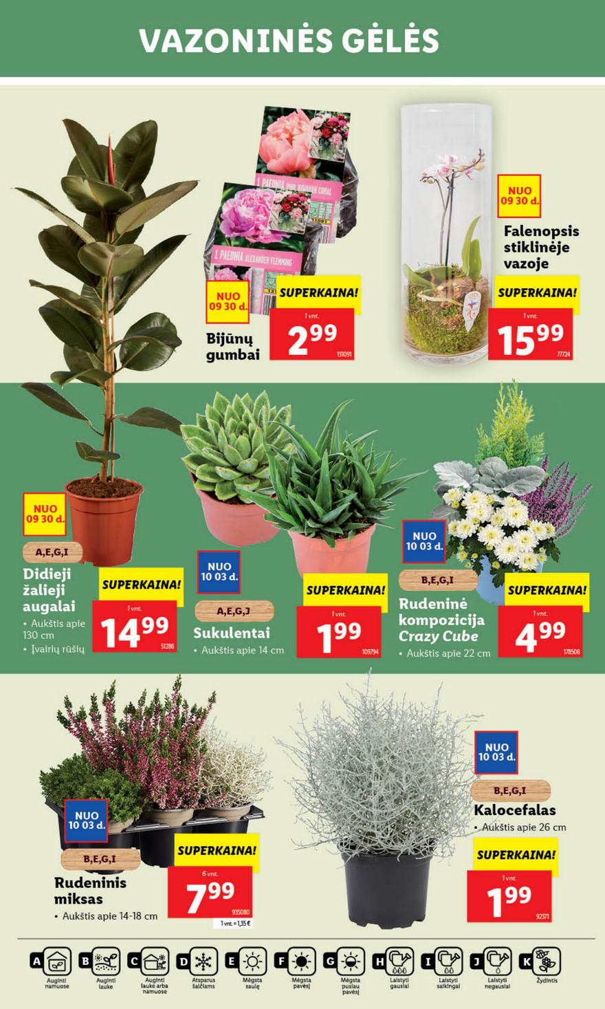 Lidl leidinys naujas akcijos nuo 
  2024-09-30 iki 
  2024-10-06 | Leidinukas.lt puslapis 33
