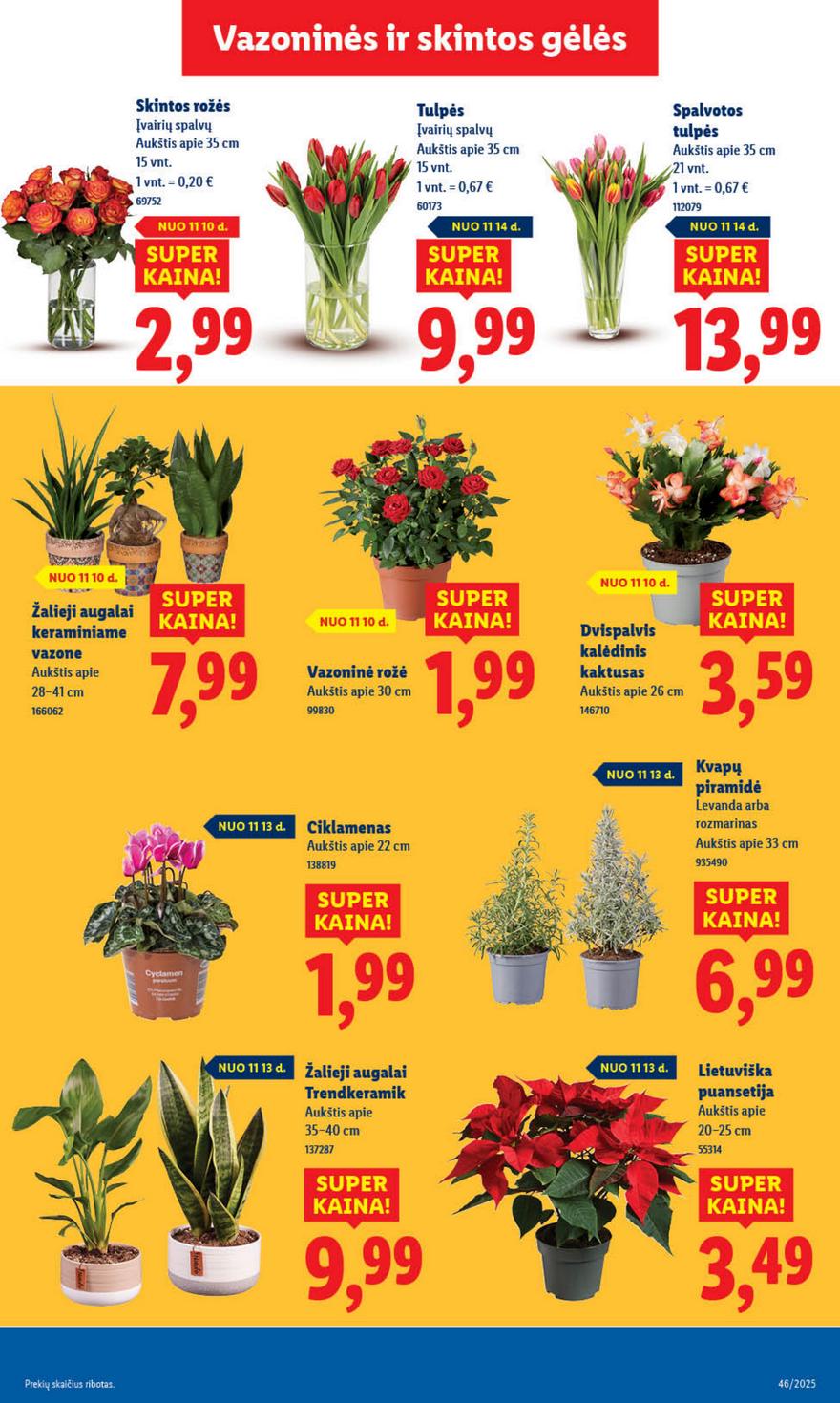 Lidl leidinys akcijos nuo 
  2025-11-10 iki 
  2025-11-16 | Leidinukas.lt puslapis 39