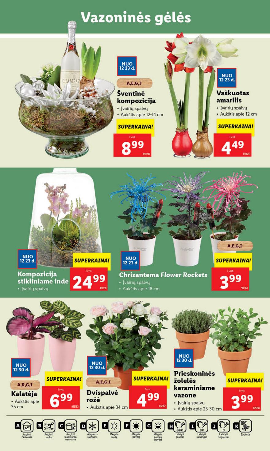 Lidl leidinys akcijos nuo 
  2024-12-26 iki 
  2024-12-31 | Leidinukas.lt puslapis 42