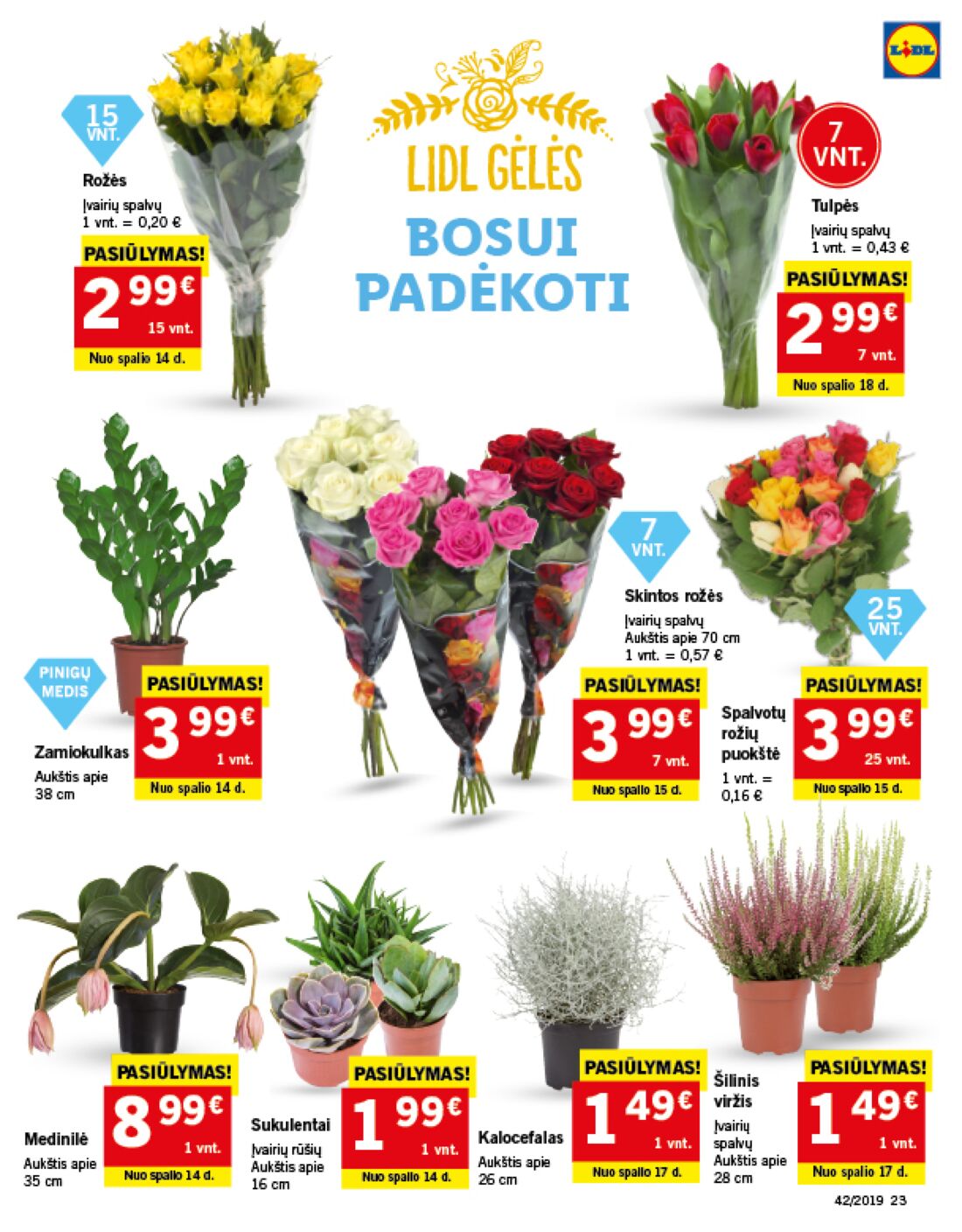 Lidl savaitinis leidinys akcijos nuo 
  2019-10-14 iki 
  2019-10-20 | Leidinukas.lt puslapis 23