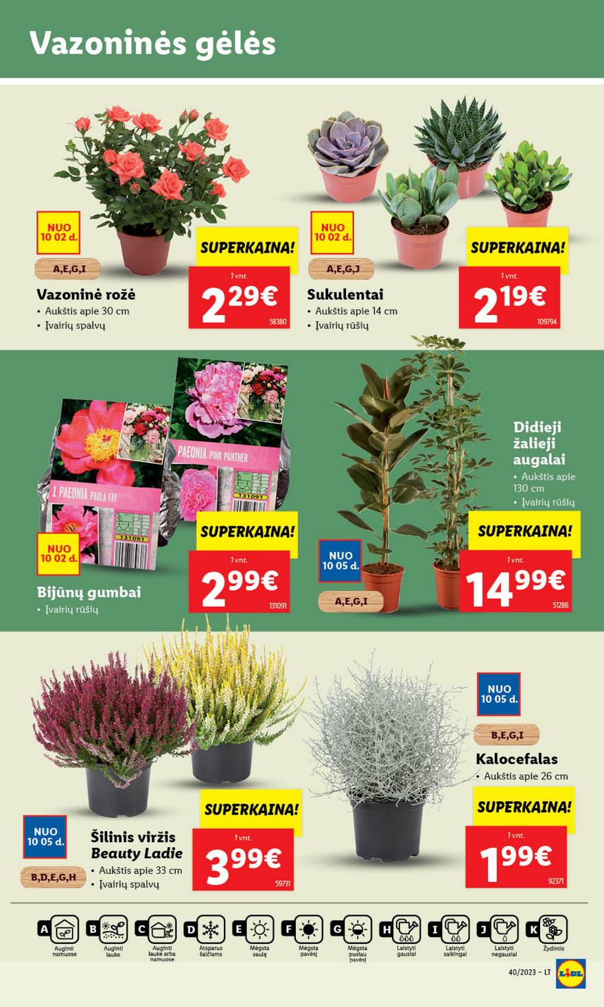 Lidl pasiūlymai akcijos nuo 
  2023-10-02 iki 
  2023-10-08 | Leidinukas.lt puslapis 38