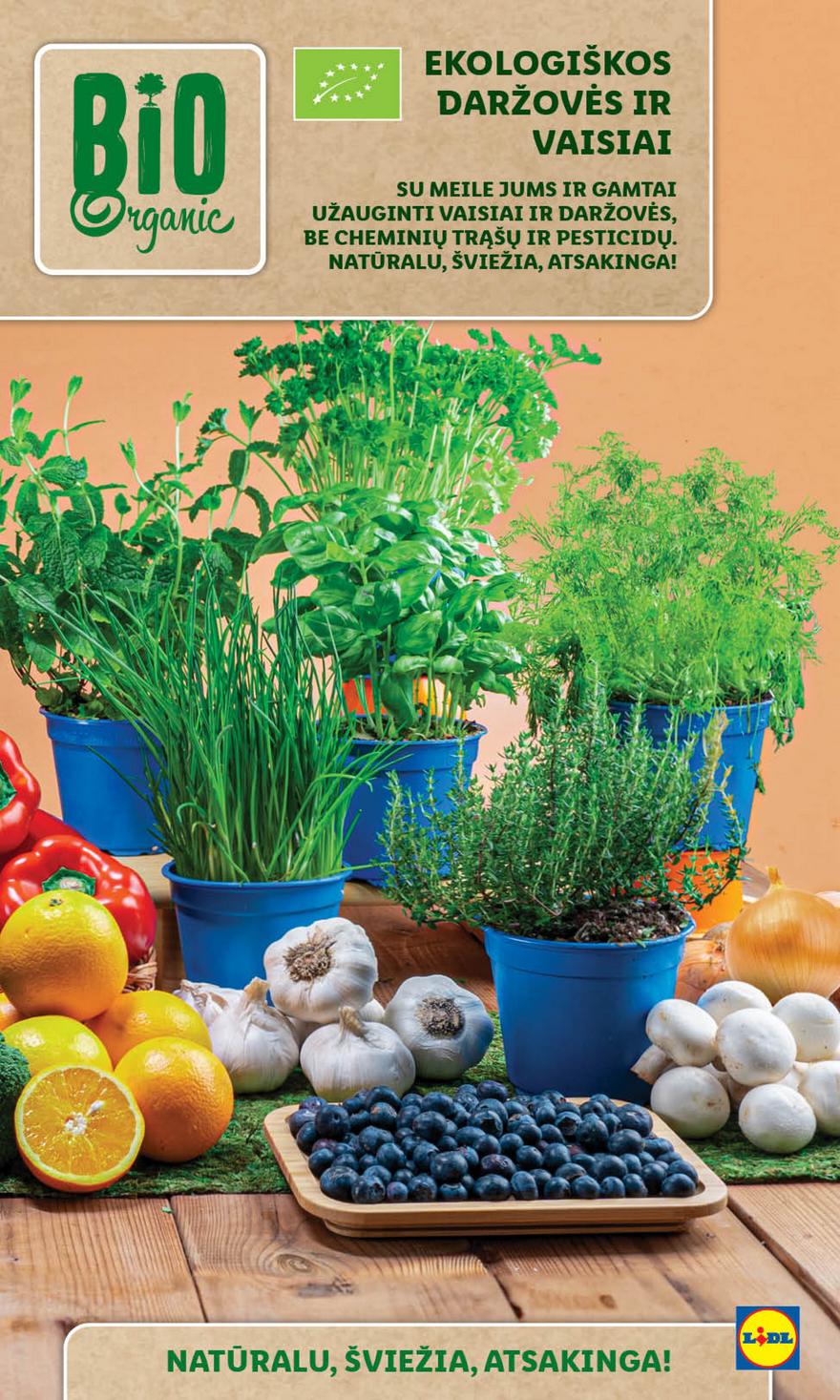 Lidl leidinys akcijos nuo 
  2024-05-13 iki 
  2024-05-19 | Leidinukas.lt puslapis 11