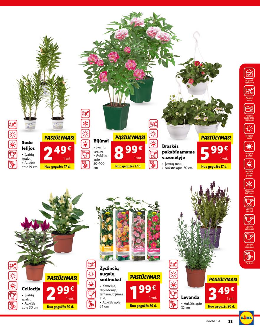 Lidl maisto prekių pasiūlymai akcijos nuo 
  2021-05-17 iki 
  2021-05-23 | Leidinukas.lt puslapis 33