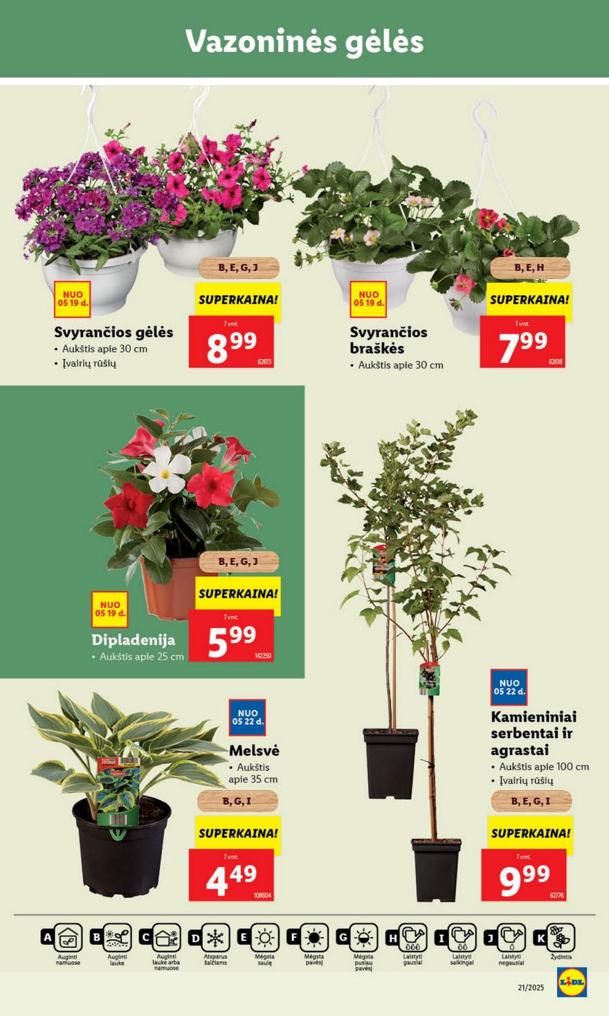 Lidl leidinys akcijos nuo 
  2025-05-19 iki 
  2025-05-25 | Leidinukas.lt puslapis 39