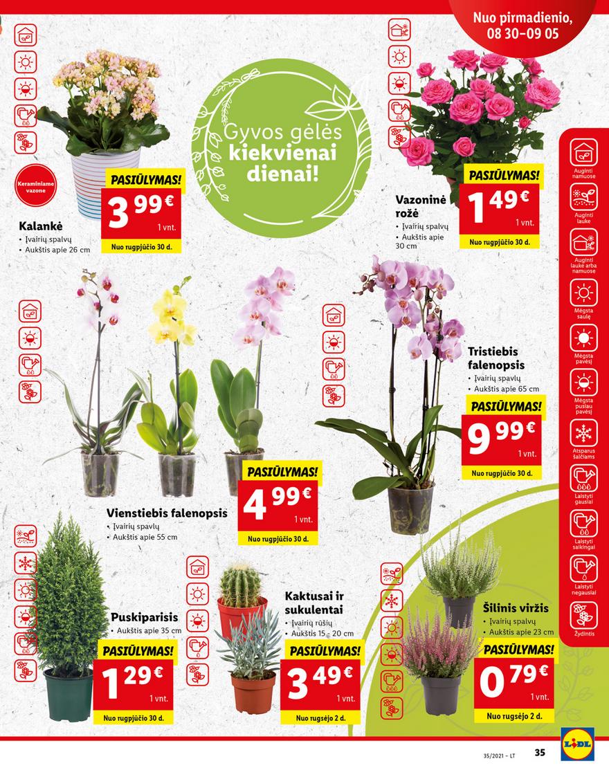 Lidl maisto prekių pasiūlymai akcijos nuo 
  2021-08-30 iki 
  2021-09-05 | Leidinukas.lt puslapis 35