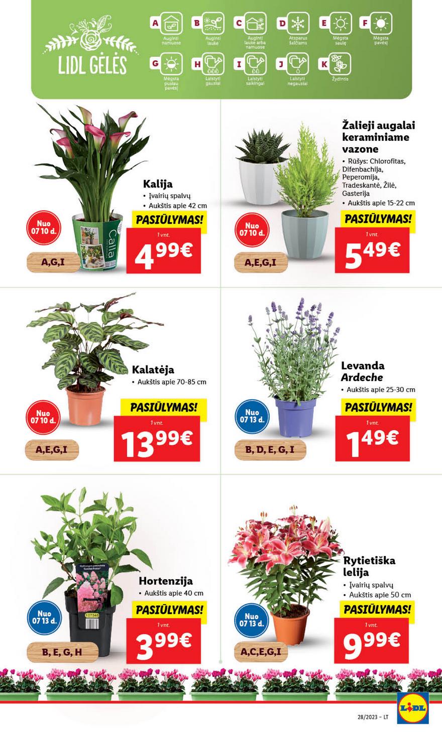 Lidl pasiūlymai akcijos nuo 
  2023-07-10 iki 
  2023-07-16 | Leidinukas.lt puslapis 46