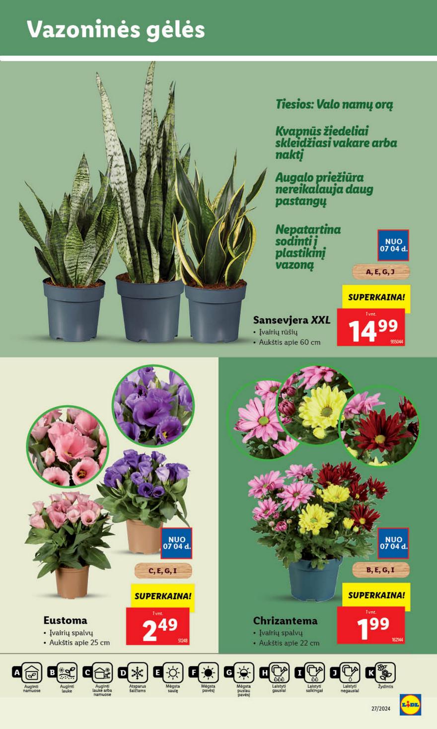 Lidl leidinys akcijos nuo 
  2024-07-01 iki 
  2024-07-07 | Leidinukas.lt puslapis 38