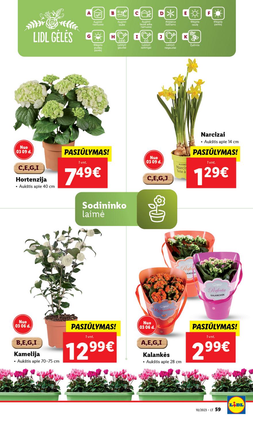 Lidl pasiūlymai akcijos nuo 
  2023-03-03 iki 
  2023-03-12 | Leidinukas.lt puslapis 59