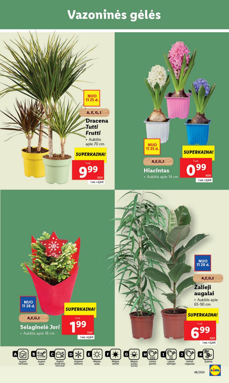 Lidl leidinys naujas akcijos nuo 
  2024-11-25 iki 
  2024-12-01 | Leidinukas.lt puslapis 45