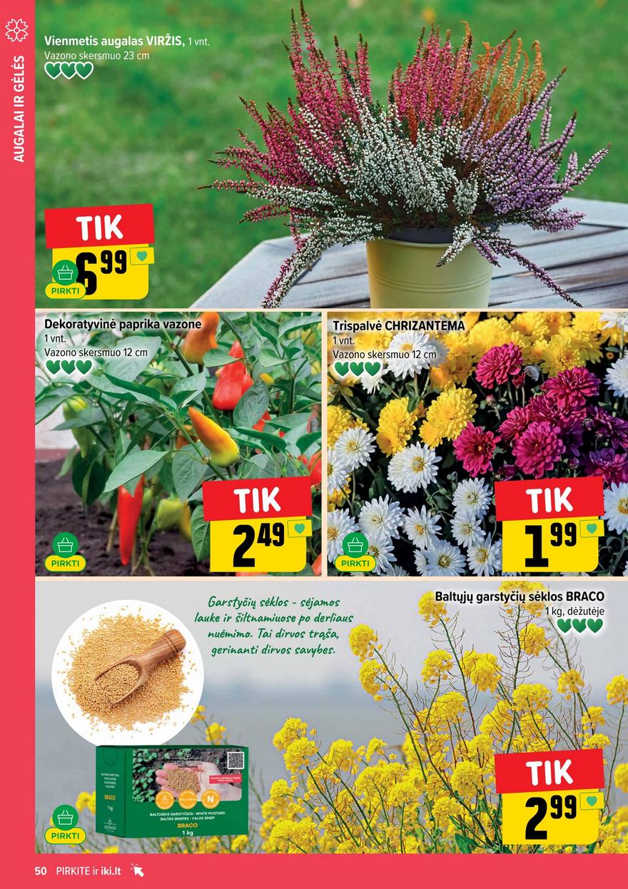 Iki leidinys akcijos nuo 
  2025-09-08 iki 
  2025-09-14 | Leidinukas.lt puslapis 50