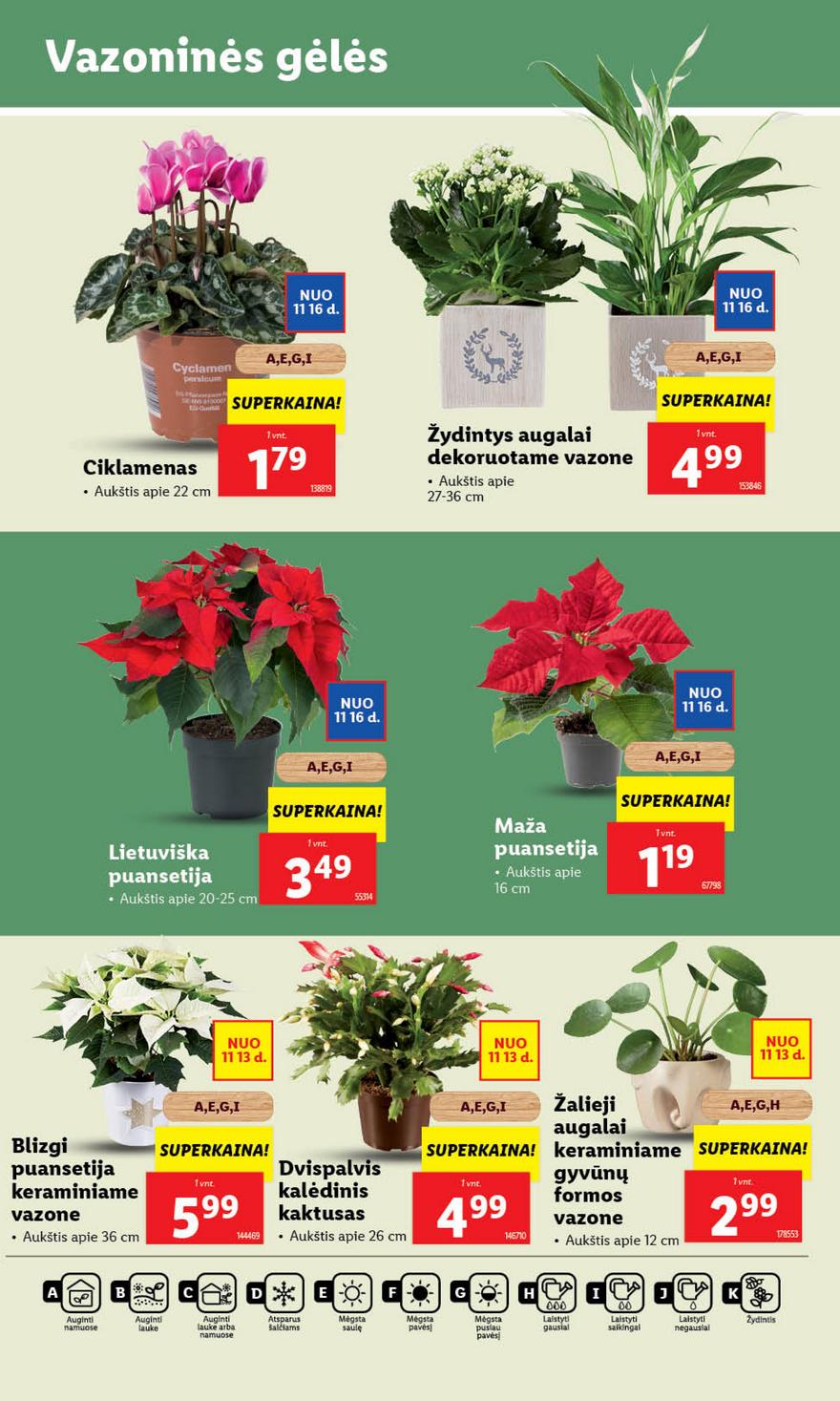 Ldil ne maisto leidinys akcijos nuo 
  2023-11-13 iki 
  2023-11-19 | Leidinukas.lt puslapis 33