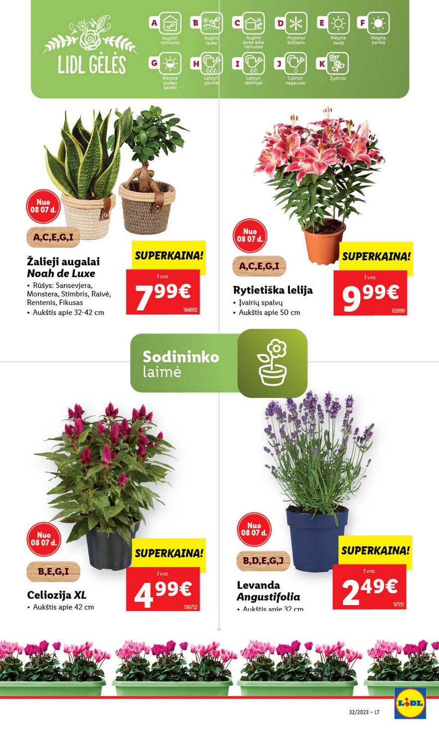 Lidl pasiūlymai akcijos nuo 
  2023-08-07 iki 
  2023-08-13 | Leidinukas.lt puslapis 59