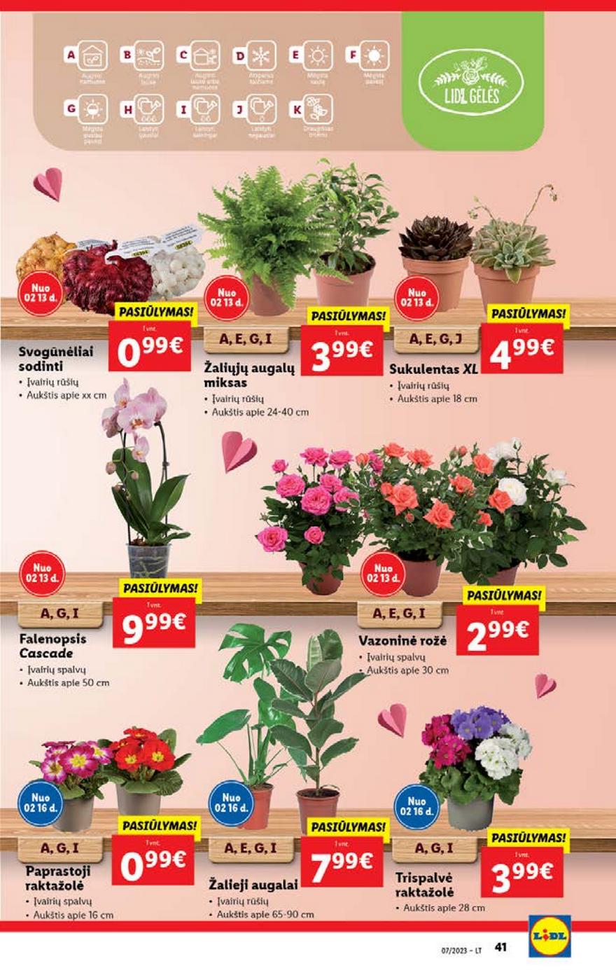 Lidl pasiūlymai akcijos nuo 
  2023-02-13 iki 
  2023-02-19 | Leidinukas.lt puslapis 41