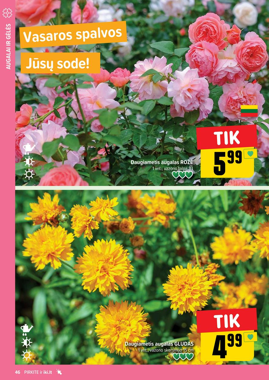 Iki leidinys akcijos nuo 
  2024-07-08 iki 
  2024-07-14 | Leidinukas.lt puslapis 46