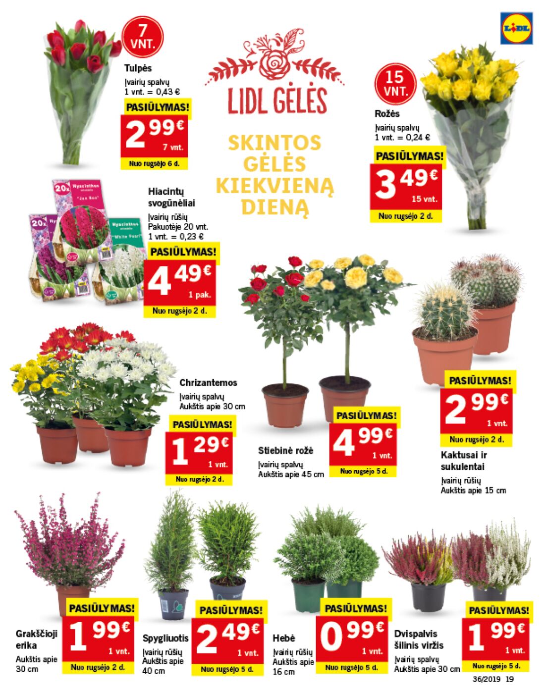 Lidl savaitinis leidinys akcijos nuo 
  2019-09-02 iki 
  2019-09-08 | Leidinukas.lt puslapis 19