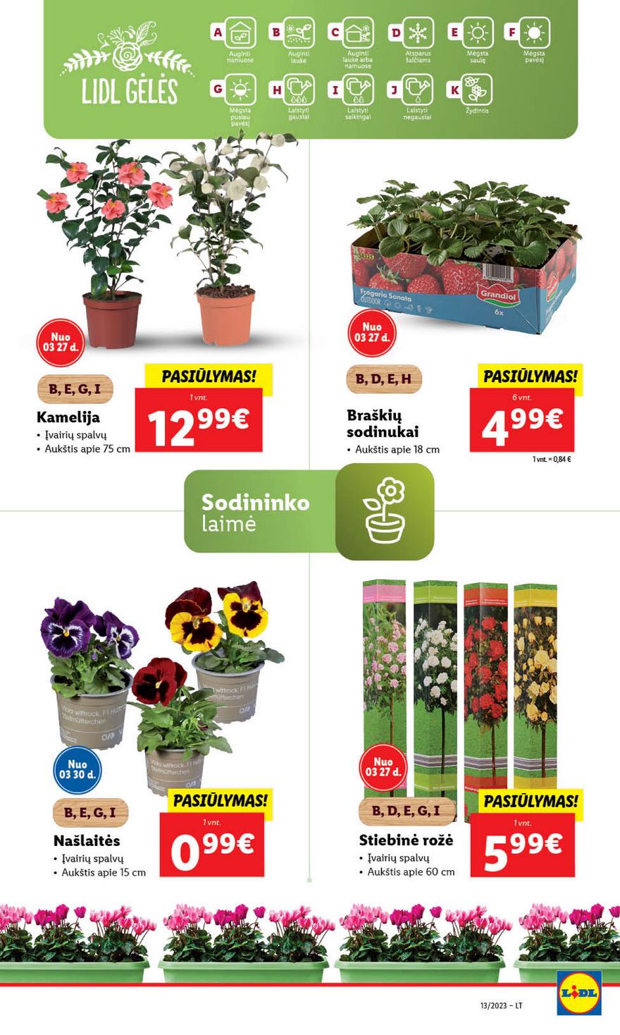 Lidl pasiūlymai akcijos nuo 
  2023-03-27 iki 
  2023-04-02 | Leidinukas.lt puslapis 66