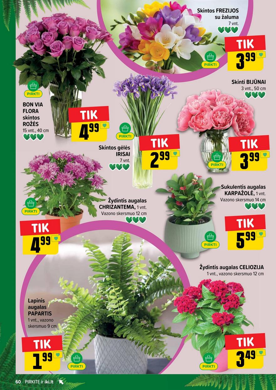 Iki leidinys akcijos nuo 
  2026-06-22 iki 
  2026-06-28 | Leidinukas.lt puslapis 60