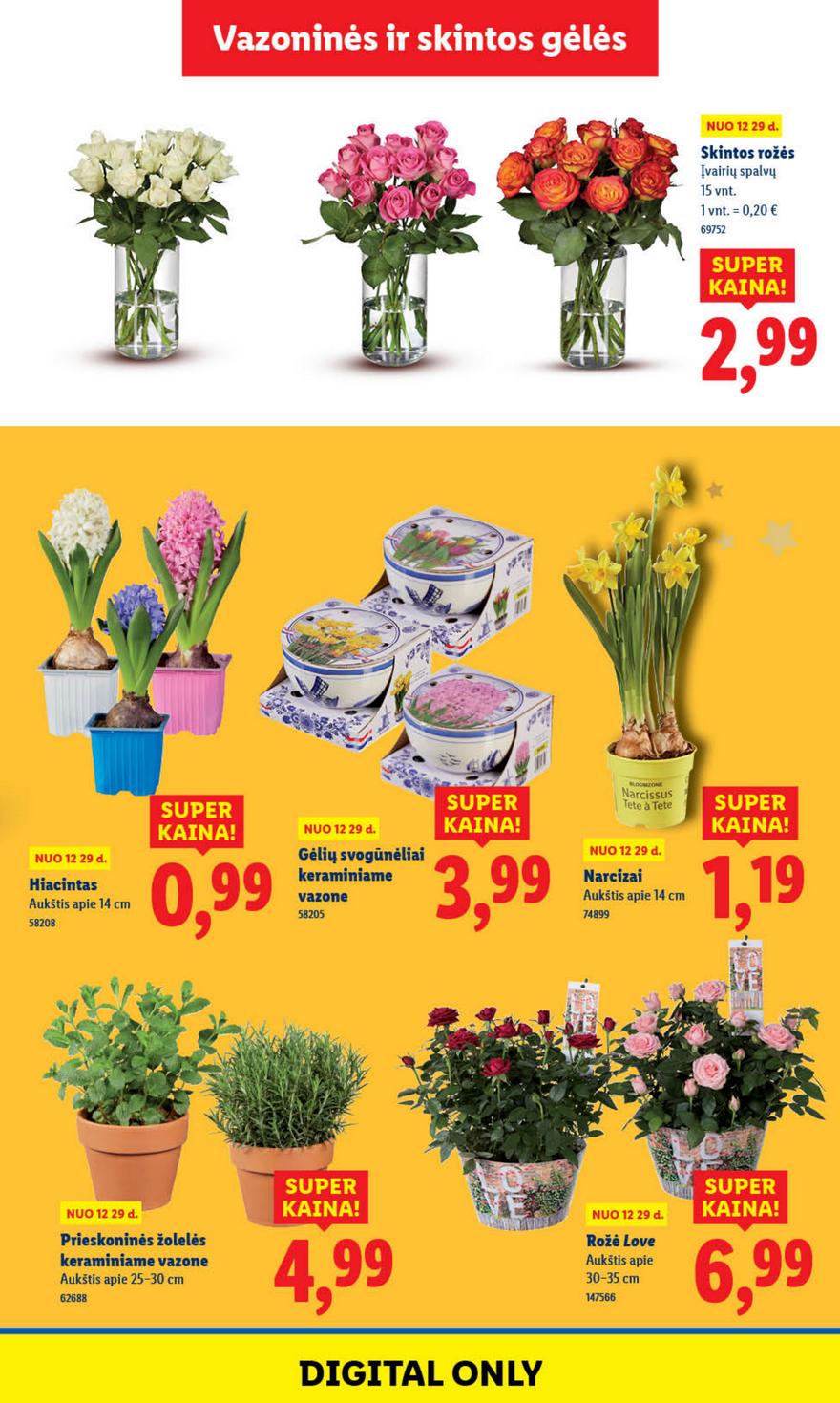 Lidl leidinys akcijos nuo 
  2025-12-29 iki 
  2026-01-04 | Leidinukas.lt puslapis 33