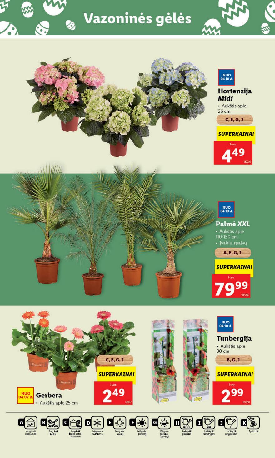 Lidl leidinys akcijos nuo 
  2025-04-07 iki 
  2025-04-13 | Leidinukas.lt puslapis 43