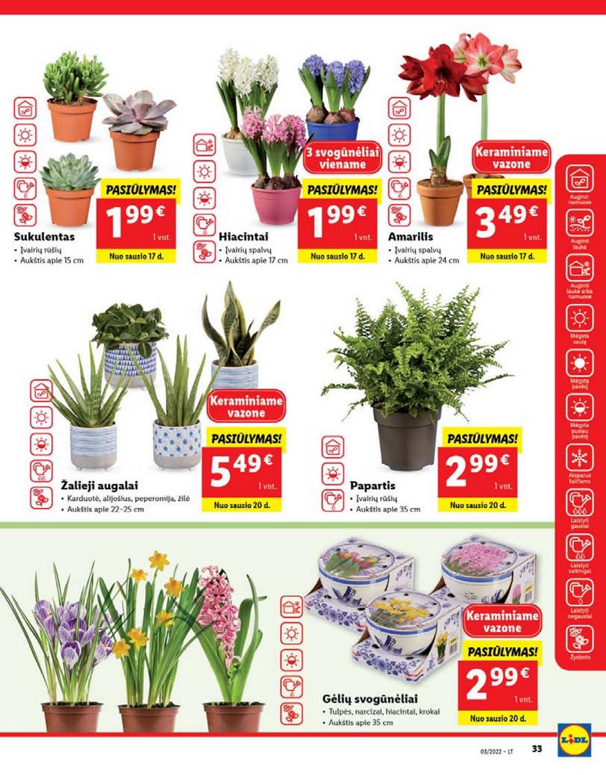 Lidl maisto prekių pasiūlymai akcijos nuo 
  2022-01-17 iki 
  2022-01-23 | Leidinukas.lt puslapis 33