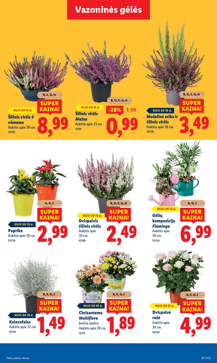 Lidl leidinys akcijos nuo 
  2025-09-15 iki 
  2025-09-21 | Leidinukas.lt puslapis 43