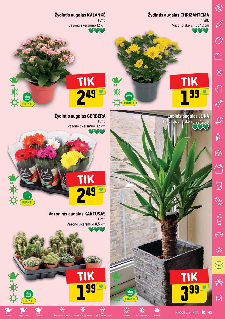 Iki leidinys 26 akcijos nuo 
  2025-06-23 iki 
  2025-06-29 | Leidinukas.lt puslapis 49