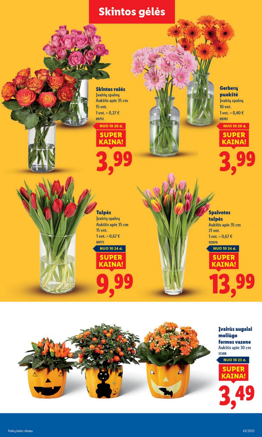 Lidl leidinys naujas akcijos nuo 
  2025-10-20 iki 
  2025-10-26 | Leidinukas.lt puslapis 55