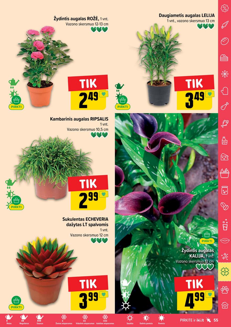 Iki leidinys 27 akcijos nuo 
  2025-06-30 iki 
  2025-07-06 | Leidinukas.lt puslapis 55