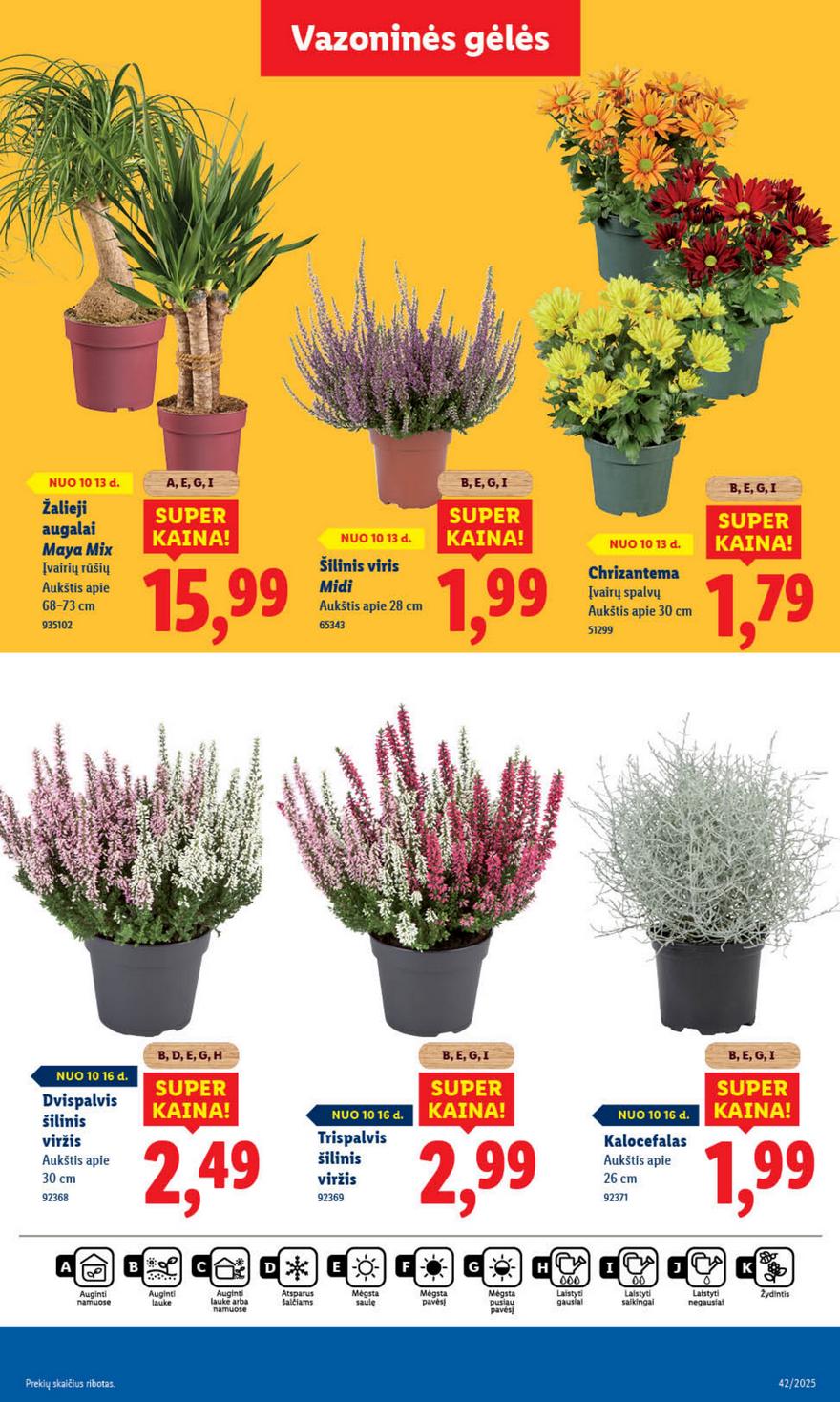Lidl leidinys naujas akcijos nuo 
  2025-10-13 iki 
  2025-10-19 | Leidinukas.lt puslapis 51