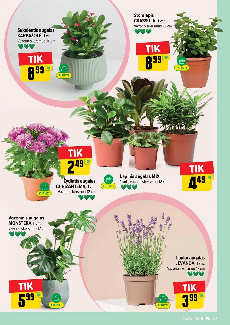 Iki leidinys akcijos nuo 
  2026-06-15 iki 
  2026-06-21 | Leidinukas.lt puslapis 57