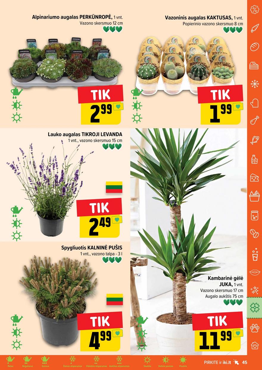 Iki leidinys akcijos nuo 
  2024-06-10 iki 
  2024-06-16 | Leidinukas.lt puslapis 45