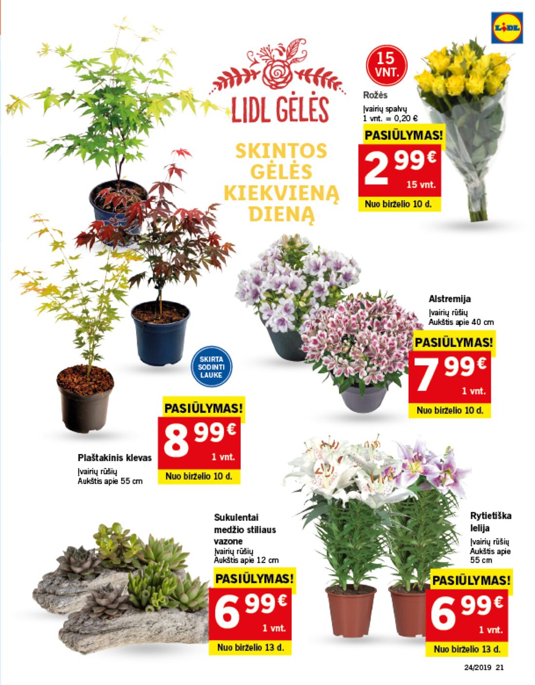 Lidl savaitinis leidinys akcijos nuo 
  2019-06-10 iki 
  2019-06-16 | Leidinukas.lt puslapis 21