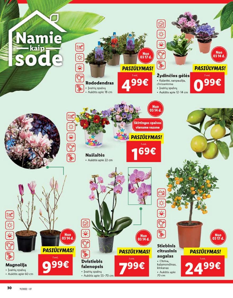 Ldil maisto leidinys akcijos nuo 
  2022-03-14 iki 
  2022-03-20 | Leidinukas.lt puslapis 30