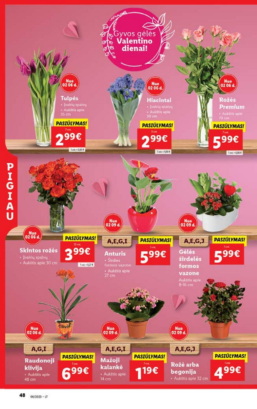 Lidl pasiūlymai akcijos nuo 
  2023-02-06 iki 
  2023-02-12 | Leidinukas.lt puslapis 46