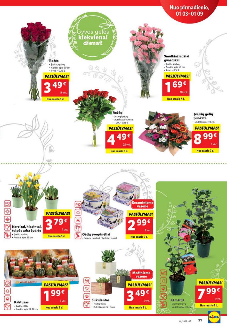 Ldil maisto leidinys akcijos nuo 
  2022-01-03 iki 
  2022-01-09 | Leidinukas.lt puslapis 21