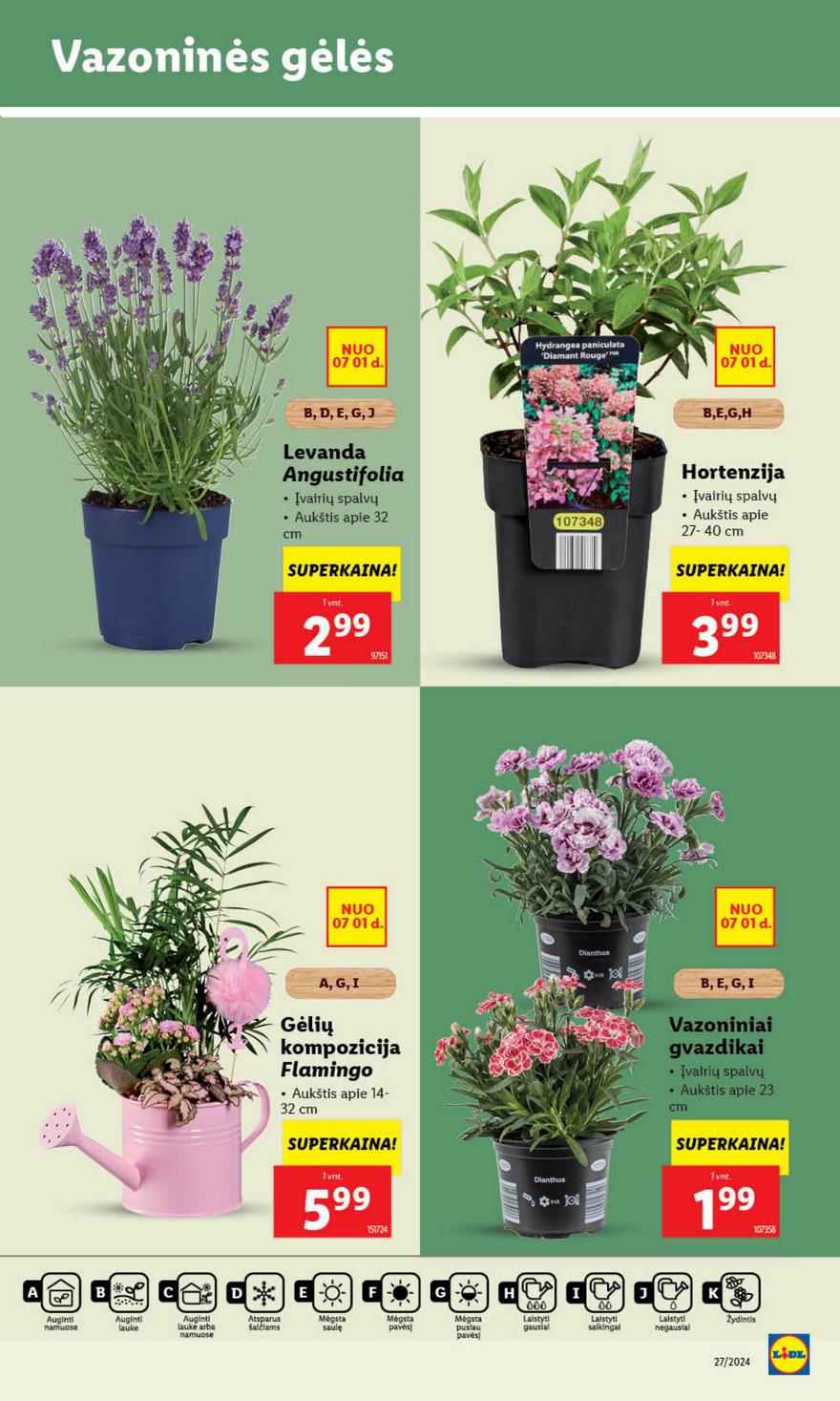 Lidl leidinys akcijos nuo 
  2024-07-01 iki 
  2024-07-07 | Leidinukas.lt puslapis 37